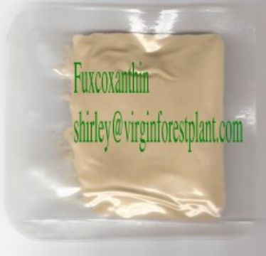 Fucoxanthin (Shirley At Virginforestplant Dot Com)